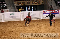 08usn-09454 proof
