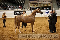 08usn-s09155 proof