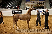 08usn-s09156 proof