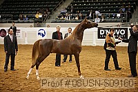 08usn-s09160 proof