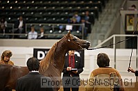08usn-s09161 proof