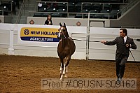 08usn-s09162 proof