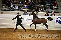 08usn-s09164 proof