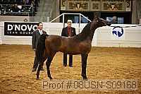 08usn-s09168 proof