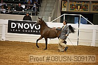 08usn-s09170 proof