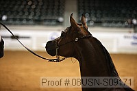 08usn-s09171 proof