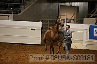 08usn-s09181 proof