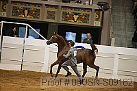 08usn-s09182 proof