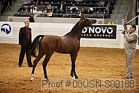 08usn-s09188 proof