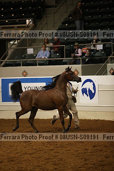 Proof 08usn-s09191