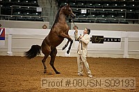 08usn-s09193 proof