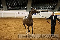 08usn-s09202 proof