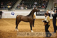 08usn-s09205 proof
