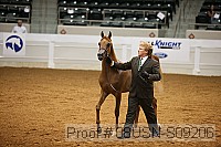 08usn-s09206 proof