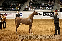 08usn-s09211 proof