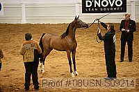 08usn-s09214 proof
