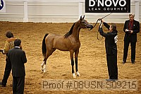 08usn-s09215 proof