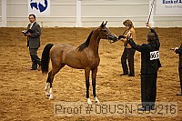 08usn-s09216 proof