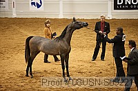08usn-s09221 proof