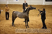 08usn-s09222 proof