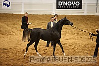 08usn-s09225 proof