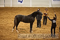 08usn-s09227 proof