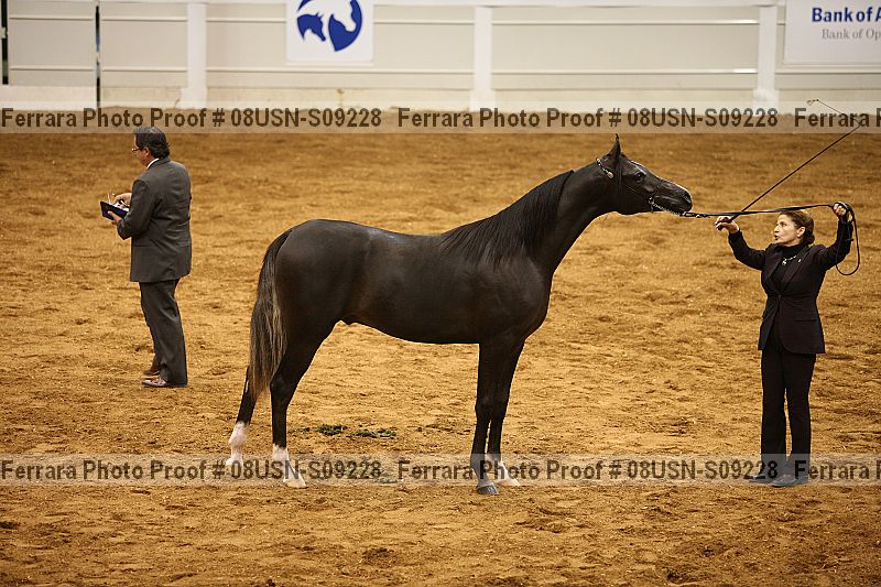 Proof 08usn-s09228