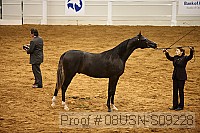 08usn-s09228 proof