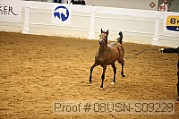 08usn-s09229 proof