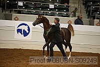 08usn-s09249 proof