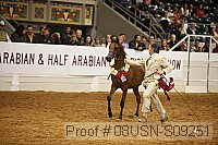 08usn-s09251 proof
