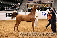 08usn-05126 proof