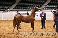 08usn-05129 proof