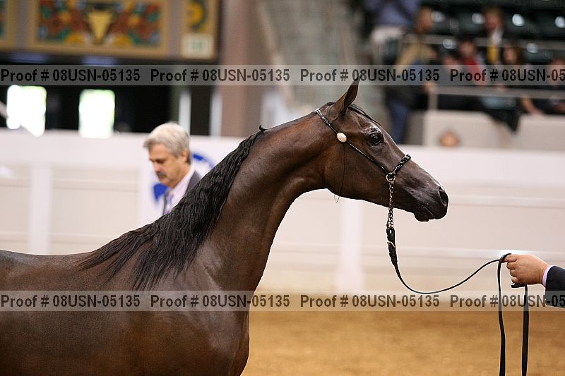 Proof 08usn-05135