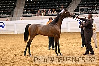 08usn-05137 proof