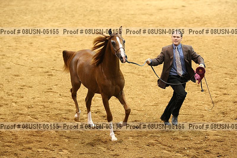 Proof 08usn-05155