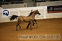 08usn-s05190 proof