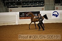 08usn-s05191 proof