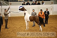 08usn-s05196 proof