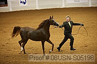 08usn-s05198 proof