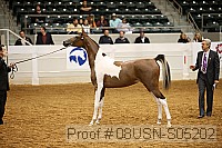 08usn-s05202 proof