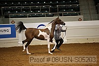 08usn-s05203 proof