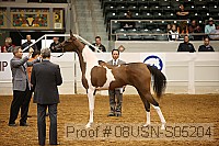 08usn-s05204 proof