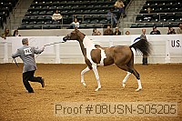 08usn-s05205 proof