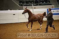 08usn-s05206 proof