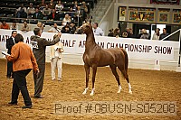 08usn-s05208 proof