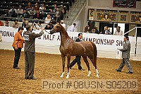 08usn-s05209 proof