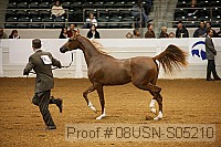 08usn-s05210 proof