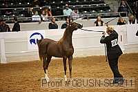 08usn-s05211 proof