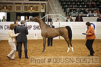 08usn-s05213 proof